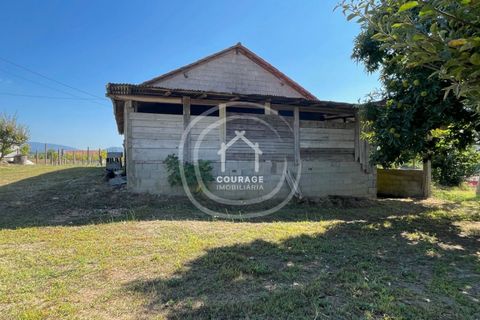 Helårsgrund i Ponte de Lima, Viana do Castelo, Ponte de Lima - € 85.000 | Ref: CD0010 - foto 14