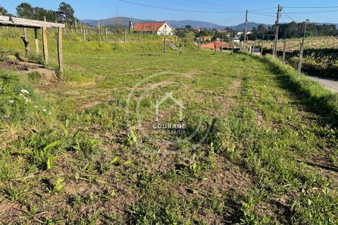 Helårsgrund i Ponte de Lima, Viana do Castelo, Ponte de Lima - € 85.000 | Ref: CD0010 - foto 19