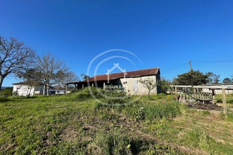 Helårsgrund i Ponte de Lima, Viana do Castelo, Ponte de Lima - € 85.000 | Ref: CD0010 - foto 21