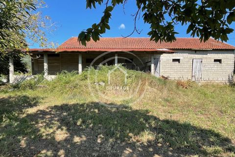 Helårsgrund i Ponte de Lima, Viana do Castelo, Ponte de Lima - € 85.000 | Ref: CD0010 - foto 23