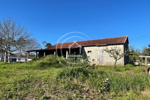 Helårsgrund i Ponte de Lima, Viana do Castelo, Ponte de Lima - € 85.000 | Ref: CD0010 - foto 24