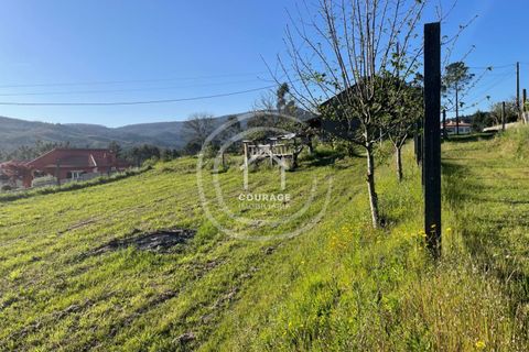Helårsgrund i Ponte de Lima, Viana do Castelo, Ponte de Lima - € 85.000 | Ref: CD0010 - foto 25