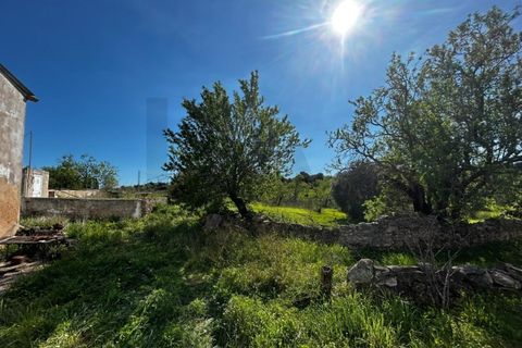 Villa i Alcantarilha, Faro, Alcantarilha - € 330.000 | Ref: KWPT-031049 - foto 4