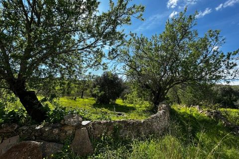 Villa i Alcantarilha, Faro, Alcantarilha - € 330.000 | Ref: KWPT-031049 - foto 5