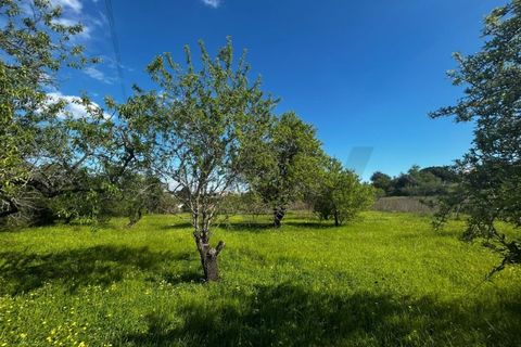 Villa i Alcantarilha, Faro, Alcantarilha - € 330.000 | Ref: KWPT-031049 - foto 9