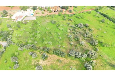 Villa i Alcantarilha, Faro, Alcantarilha - € 330.000 | Ref: KWPT-031049 - foto 16