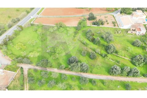 Villa i Alcantarilha, Faro, Alcantarilha - € 330.000 | Ref: KWPT-031049 - foto 17