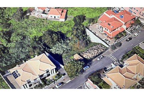 Terra a Sao Roque, Madeira, Sao Roque - € 360.000 | Ref: SÒL_160 - foto 11