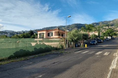 Terra a Sao Roque, Madeira, Sao Roque - € 360.000 | Ref: SÒL_160 - foto 13