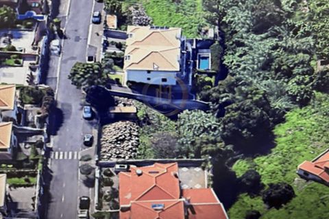 Terra a Sao Roque, Madeira, Sao Roque - € 360.000 | Ref: SÒL_160 - foto 17