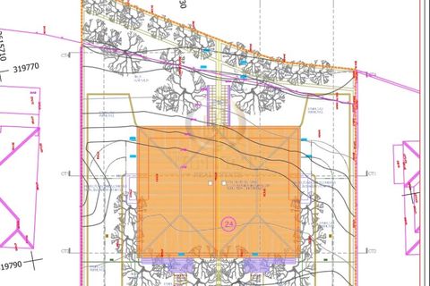 Terra a Sao Roque, Madeira, Sao Roque - € 360.000 | Ref: SÒL_160 - foto 20