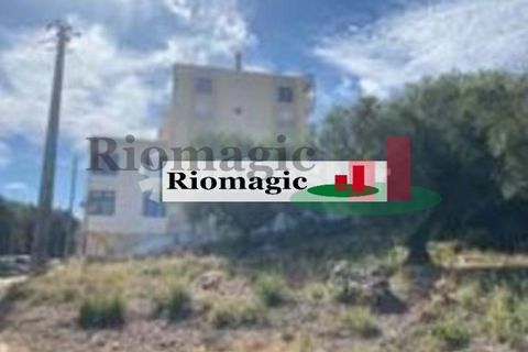 Tomt i Minde, Santarem, Minde - € 41 500 | Ref: 127.26 - foto 2