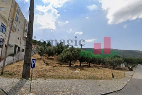 Tomt i Minde, Santarem, Minde - € 41 500 | Ref: 127.26 - foto 3