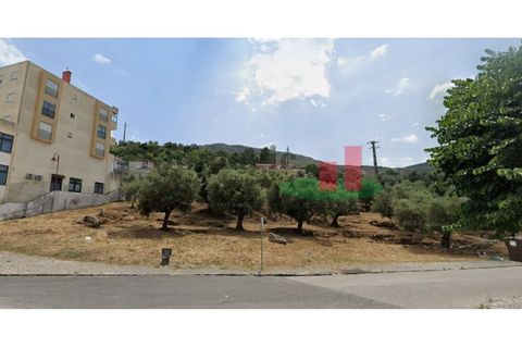 Tomt i Minde, Santarem, Minde - € 41 500 | Ref: 127.26 - foto 4