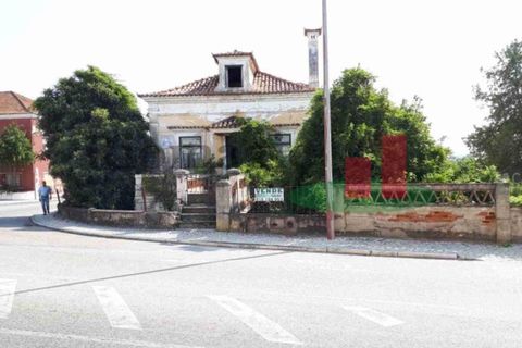Farm i Abrantes, Santarem, Abrantes - € 250.000 | Ref: 136.24 - foto 3