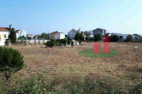 Farm i Abrantes, Santarem, Abrantes - € 250.000 | Ref: 136.24 - foto 4