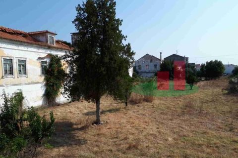 Farm i Abrantes, Santarem, Abrantes - € 250.000 | Ref: 136.24 - foto 5