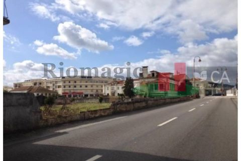 Farm i Abrantes, Santarem, Abrantes - € 250.000 | Ref: 136.24 - foto 6