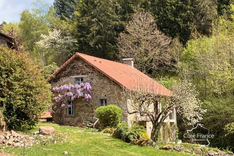 Farm hus i Boisset, Cantal, Boisset - € 499.500 | Ref: 33_BTVMA420008787 - foto 4