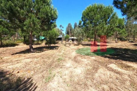 Villa a Asseiceira, Santarem, Asseiceira - € 110.000 | Ref: 176.20 - foto 3