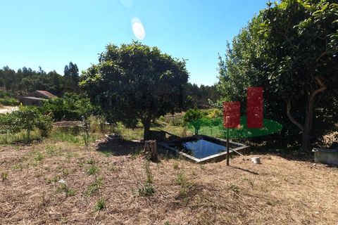 Villa a Asseiceira, Santarem, Asseiceira - € 110.000 | Ref: 176.20 - foto 4