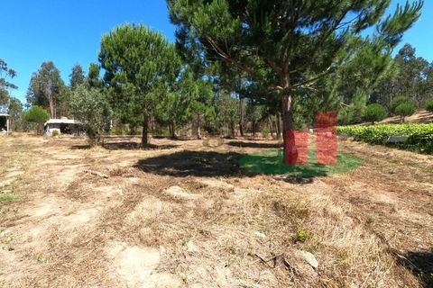 Villa a Asseiceira, Santarem, Asseiceira - € 110.000 | Ref: 176.20 - foto 7