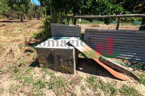 Villa a Asseiceira, Santarem, Asseiceira - € 110.000 | Ref: 176.20 - foto 11