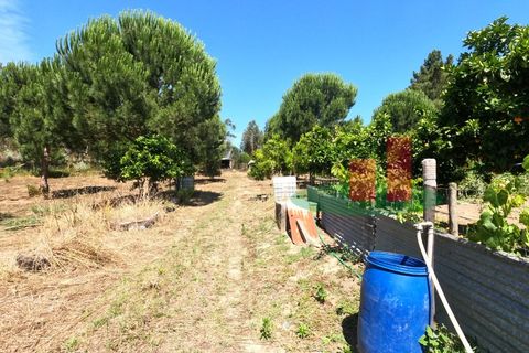 Villa a Asseiceira, Santarem, Asseiceira - € 110.000 | Ref: 176.20 - foto 12