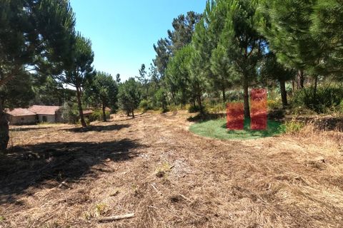 Villa a Asseiceira, Santarem, Asseiceira - € 110.000 | Ref: 176.20 - foto 15