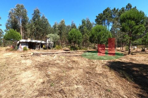 Villa a Asseiceira, Santarem, Asseiceira - € 110.000 | Ref: 176.20 - foto 16
