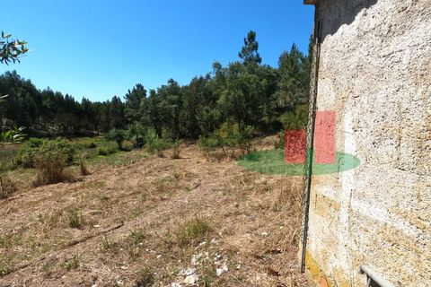 Villa a Asseiceira, Santarem, Asseiceira - € 110.000 | Ref: 176.20 - foto 17