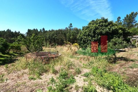 Villa a Asseiceira, Santarem, Asseiceira - € 110.000 | Ref: 176.20 - foto 19
