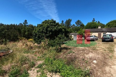 Villa a Asseiceira, Santarem, Asseiceira - € 110.000 | Ref: 176.20 - foto 20
