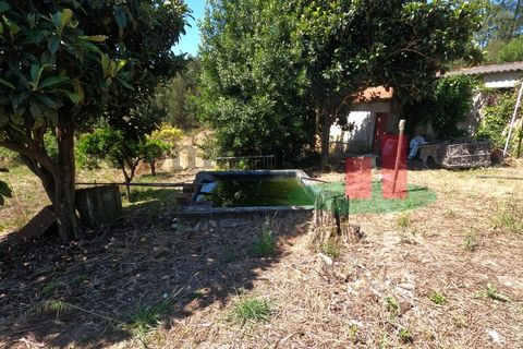 Villa a Asseiceira, Santarem, Asseiceira - € 110.000 | Ref: 176.20 - foto 21