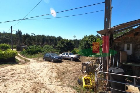 Villa a Asseiceira, Santarem, Asseiceira - € 110.000 | Ref: 176.20 - foto 22