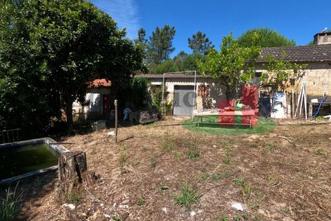 Villa a Asseiceira, Santarem, Asseiceira - € 110.000 | Ref: 176.20 - foto 24