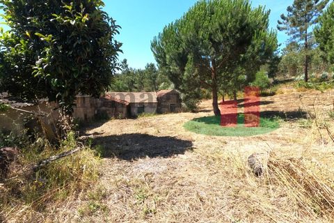Villa a Asseiceira, Santarem, Asseiceira - € 110.000 | Ref: 176.20 - foto 27