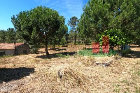 Villa a Asseiceira, Santarem, Asseiceira - € 110.000 | Ref: 176.20 - foto 28