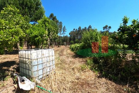 Villa a Asseiceira, Santarem, Asseiceira - € 110.000 | Ref: 176.20 - foto 30