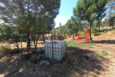 Villa a Asseiceira, Santarem, Asseiceira - € 110.000 | Ref: 176.20 - foto 31