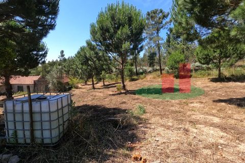 Villa a Asseiceira, Santarem, Asseiceira - € 110.000 | Ref: 176.20 - foto 32