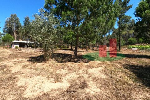 Villa a Asseiceira, Santarem, Asseiceira - € 110.000 | Ref: 176.20 - foto 33