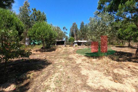 Villa a Asseiceira, Santarem, Asseiceira - € 110.000 | Ref: 176.20 - foto 34