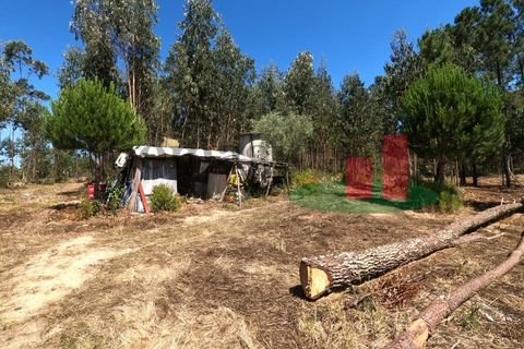 Villa a Asseiceira, Santarem, Asseiceira - € 110.000 | Ref: 176.20 - foto 36