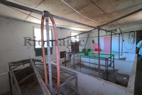Villa a Asseiceira, Santarem, Asseiceira - € 110.000 | Ref: 176.20 - foto 47