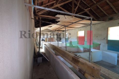 Villa a Asseiceira, Santarem, Asseiceira - € 110.000 | Ref: 176.20 - foto 48