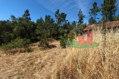 Villa a Asseiceira, Santarem, Asseiceira - € 110.000 | Ref: 176.20 - foto 50
