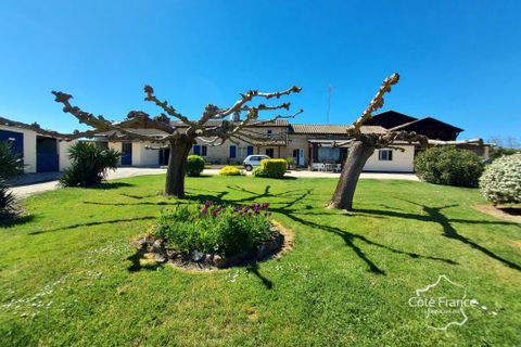 Landejendom i Aillas, Gironde, Aillas - € 800.000 | Ref: 43_FLNOI-7656 - foto 5