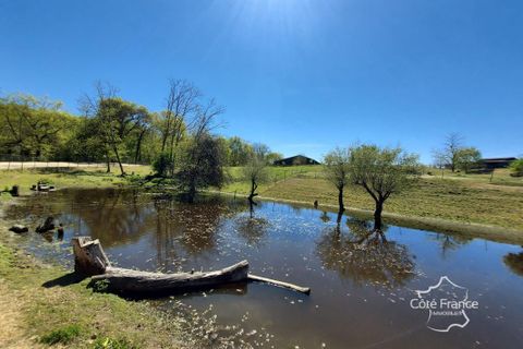 Landejendom i Aillas, Gironde, Aillas - € 800.000 | Ref: 43_FLNOI-7656 - foto 15