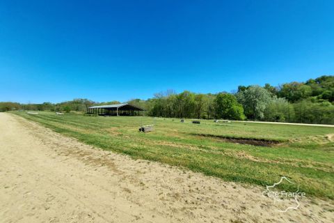 Landejendom i Aillas, Gironde, Aillas - € 800.000 | Ref: 43_FLNOI-7656 - foto 17